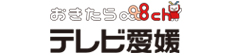 テレビ愛媛