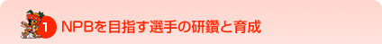 NPBを目指す選手の研鑽と育成