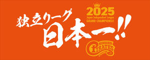 2025IPBL_V_Towel_b.jpg