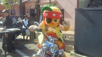 2010110313160000.jpg