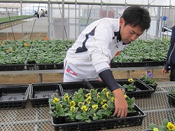 20151203はばたき授産園 (10).jpg