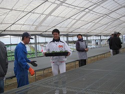 20151203はばたき授産園HP用.jpg