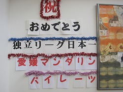 20151228　さらさ道後 (2).jpg