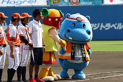 20160820坊っちゃんvs香川 (461).jpg