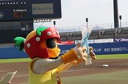 20160821坊っちゃんvs徳島 (299).jpg