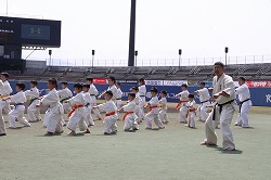 20180401坊っちゃんvs巨人２ - 044.jpg