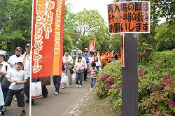 DSC01190.jpg