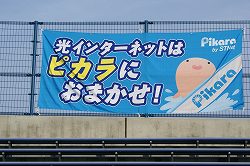 DSC01617.jpg