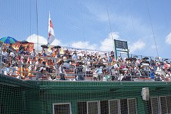 DSC01787.jpg