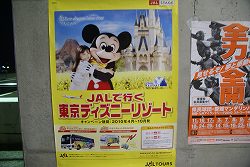 DSC02102.jpg