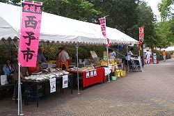 DSC02130.jpg