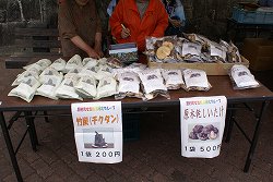 DSC02132.jpg