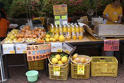 DSC02134.jpg