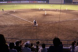DSC02941.jpg