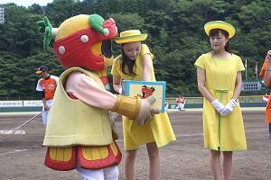 DSC03980.jpg