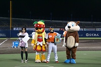 DSC06455.jpg