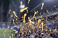 DSC06505.jpg