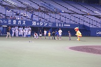 DSC06575.jpg