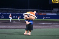 DSC06576.jpg