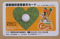DSC09402.jpg