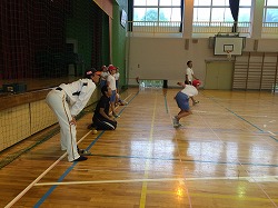 IMG_0537.jpg