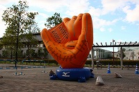 IMG_0616.jpg