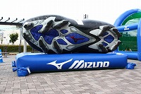 IMG_0617.jpg