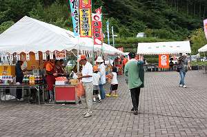 IMG_8223.jpg