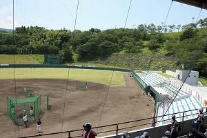 IMG_8655.jpg
