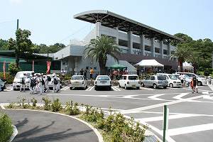 IMG_8661.jpg