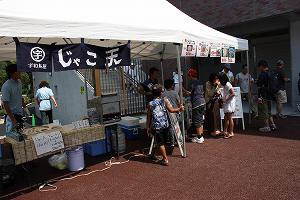 IMG_8855.jpg