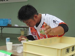 IMG_9661.jpg