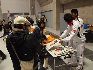 L-P16.jpg