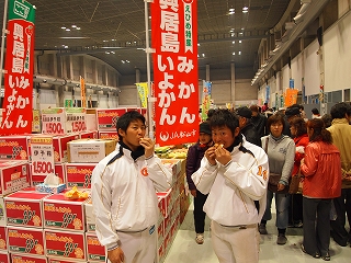 L-P3.jpg