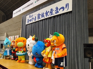 L-P5.jpg