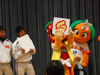 L-P6.jpg