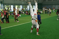 sa11.JPG