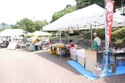 IMG_4393.jpg