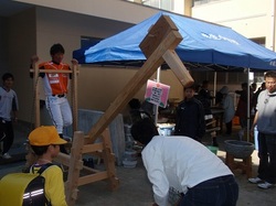PA273894.JPGのサムネール画像