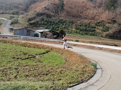 P1134159.JPG